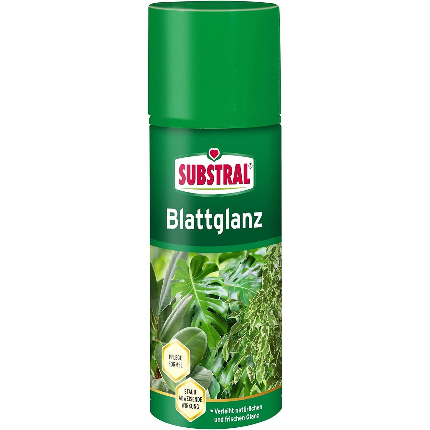 Spray lustrant brillance pour feuilles de plantes vertes SUBSTRAL 200 ml