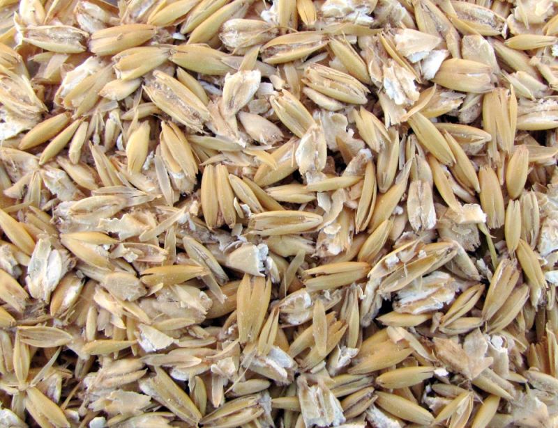 Avoine fourragère concassée Kornkraft 25 kg