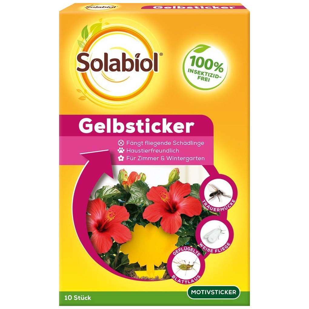 Solabiol® Plaques Jaunes Engluées (10 pièces)