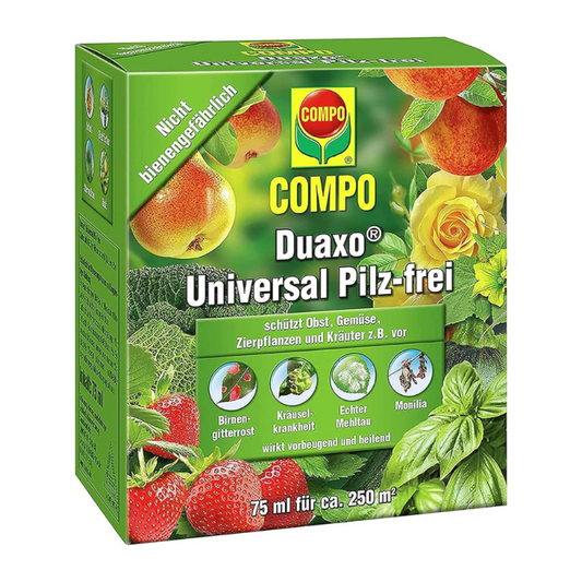 Compo Duaxo Universal Antifongique Sans Champignons 75 ml