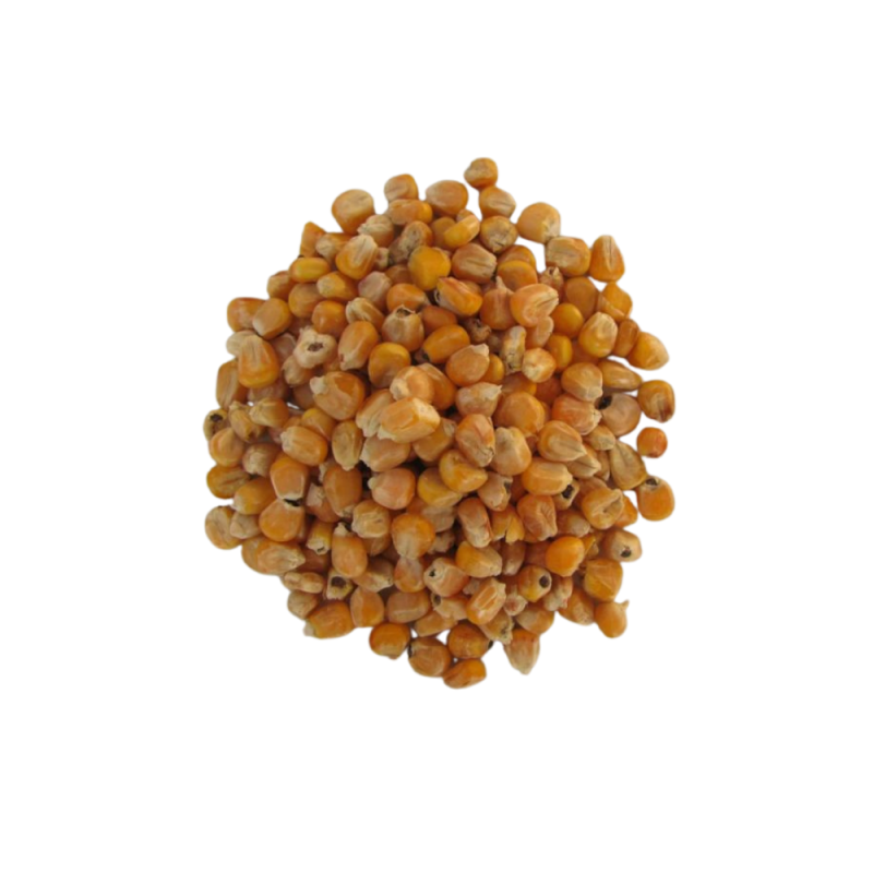 Maïs fourrager issu de la récolte régionale allemande - 5 kg