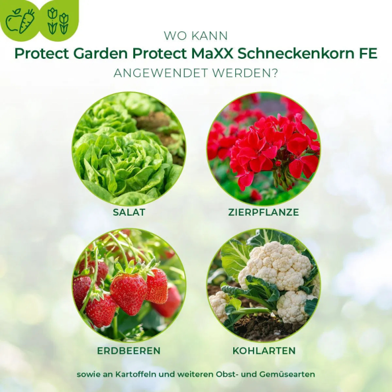 Granulés anti-limaces Protect Garden Protect MaXX FE 1,2 kg