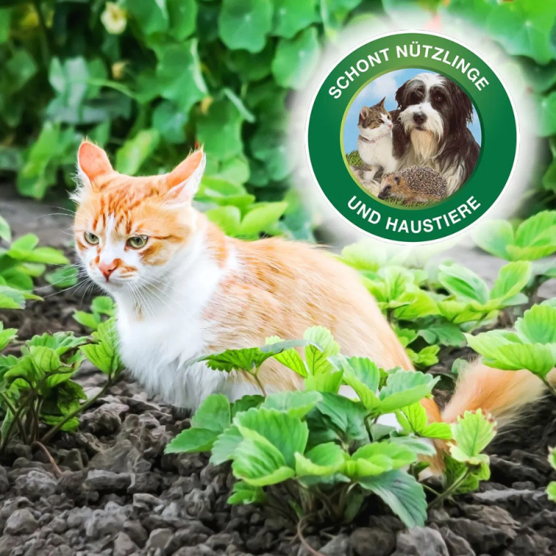 Granulés anti-limaces Protect Garden Protect MaXX FE 1,2 kg