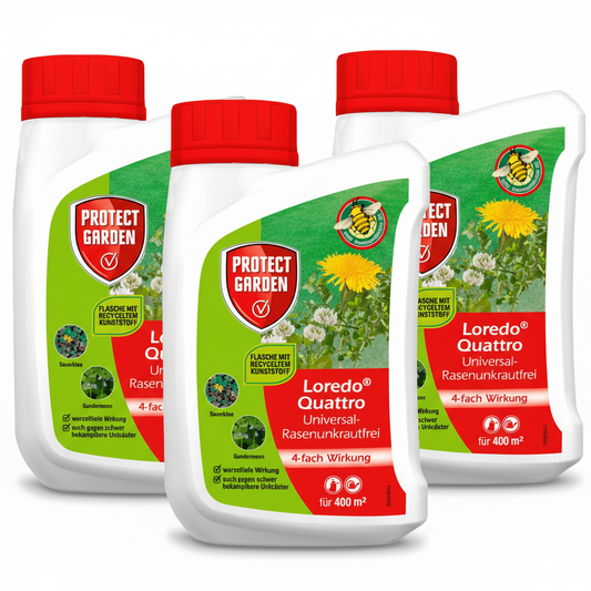 3 produits Loredo Quattro - diagonale