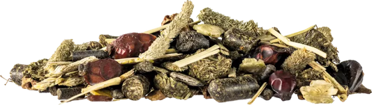 Muesli sans céréales pour soutenir un estomac sensible et le métabolisme musculaire 15 kg