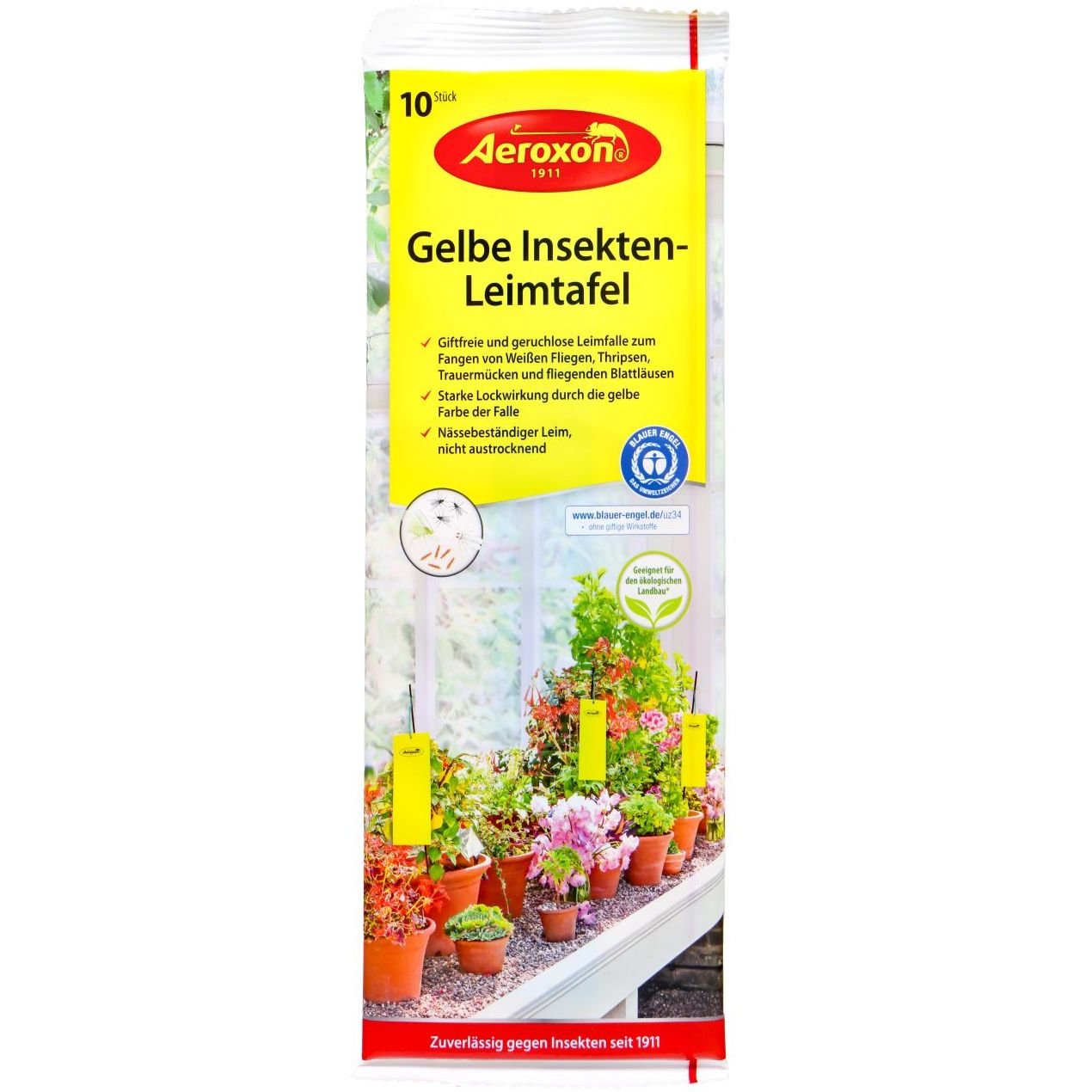 Aeroxon Plaque Jaune Collante Insectes (10 pièces)