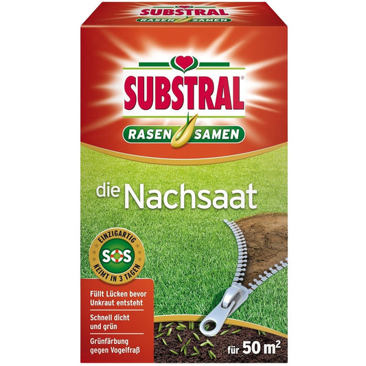 SUBSTRAL® Semences de Gazon Sur-Semis & Réparation – Comble les Trous Rapidement (1 kg / 50 m²)