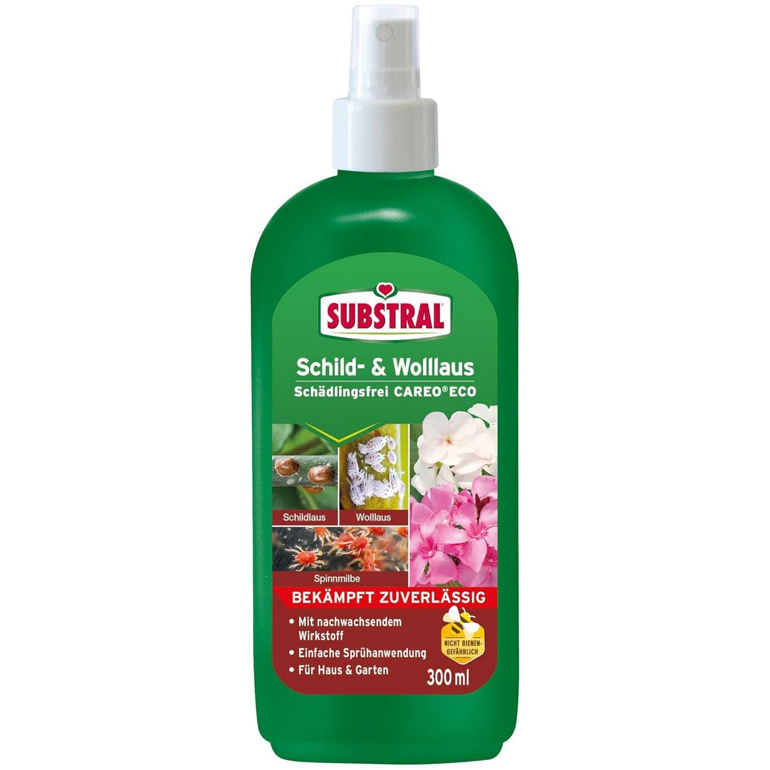 Spray anti-cochenilles Substral CAREO ECO 300 ml pour plantes d'intérieur et balcon