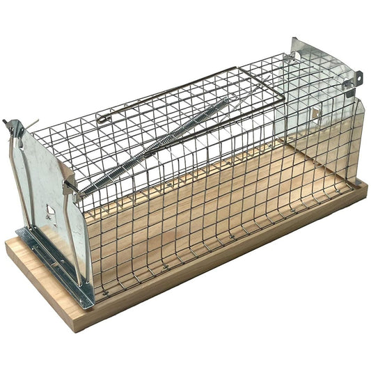 Cage-Piège Vivant pour Rats