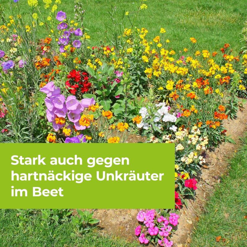 Protect Garden Permaclean Duo Désherbant Total Herbicide Contre Mauvaise Herbe Jardin Gazon Racine 500 mL - Non Sélectif
