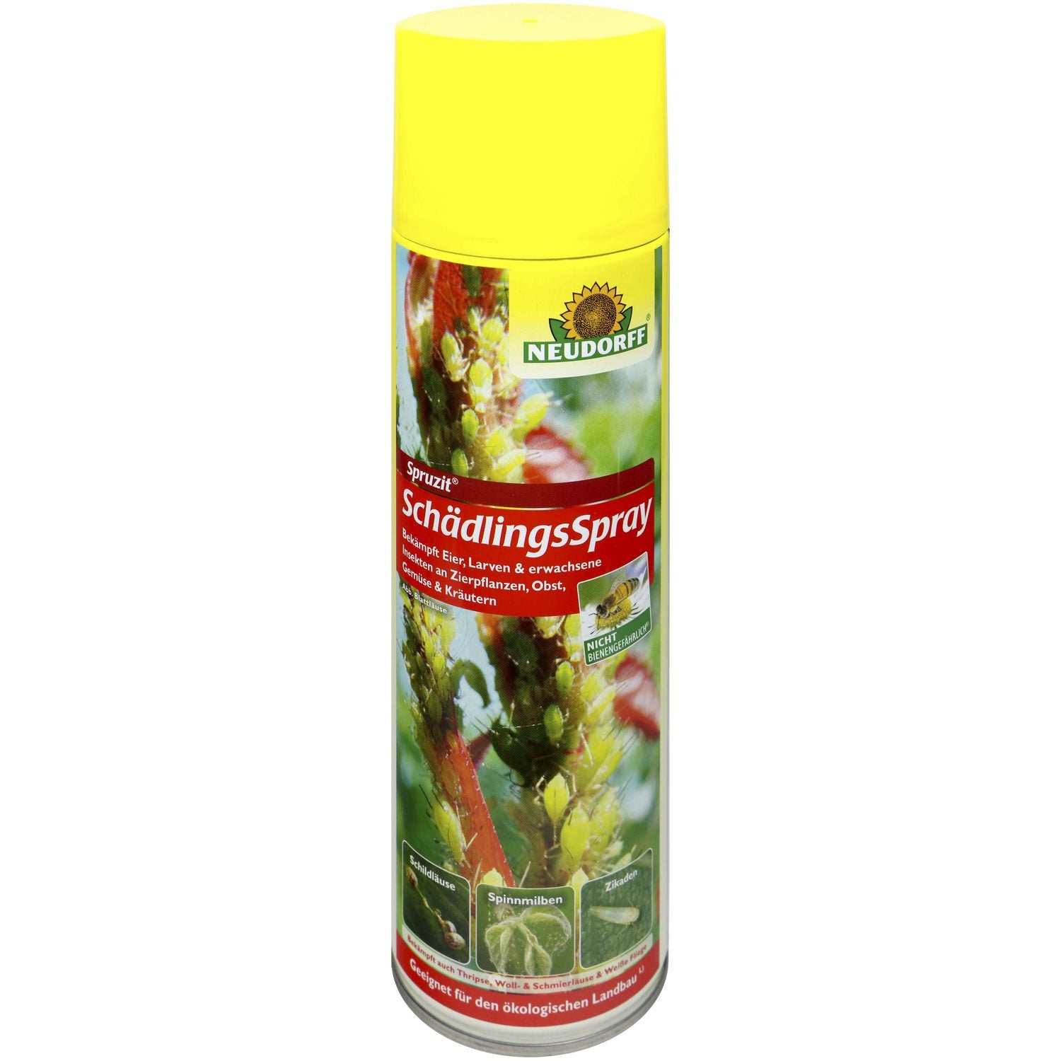 Neudorff Spruzit® Spray Anti-Nuisibles (400 ml)