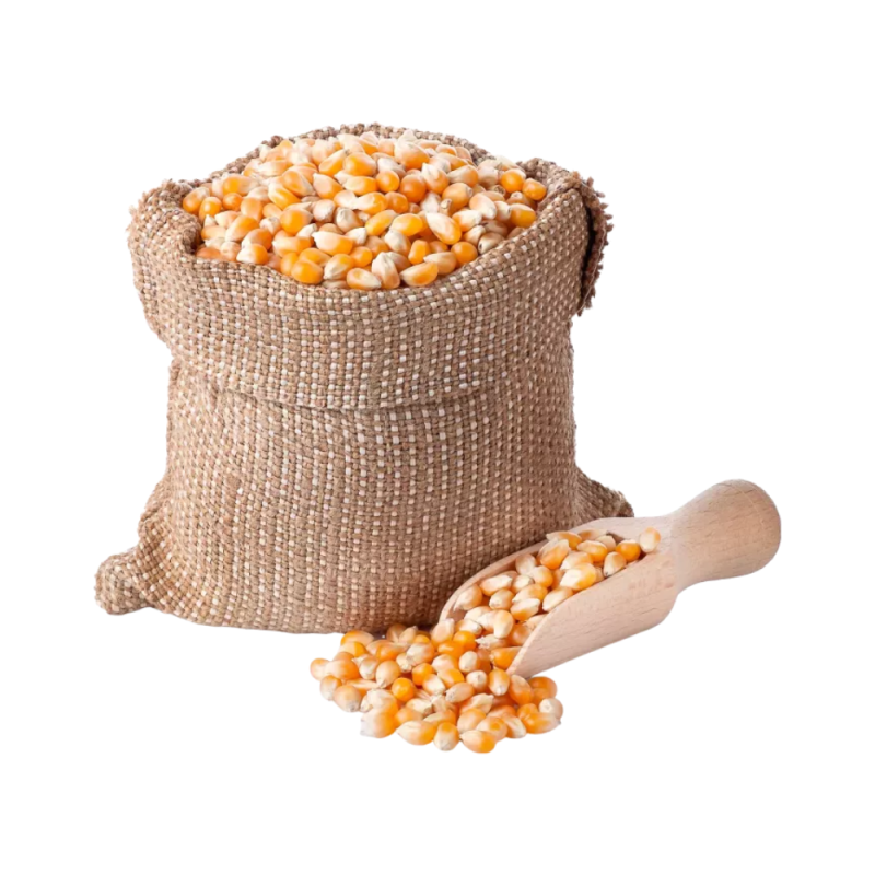 25 kg de maïs, maïs fourrager granulé issu de la récolte régionale allemande actuelle