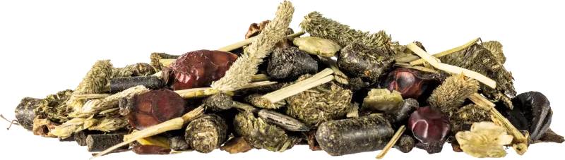 Muesli sans céréales pour soutenir un estomac sensible et le métabolisme musculaire 15 kg