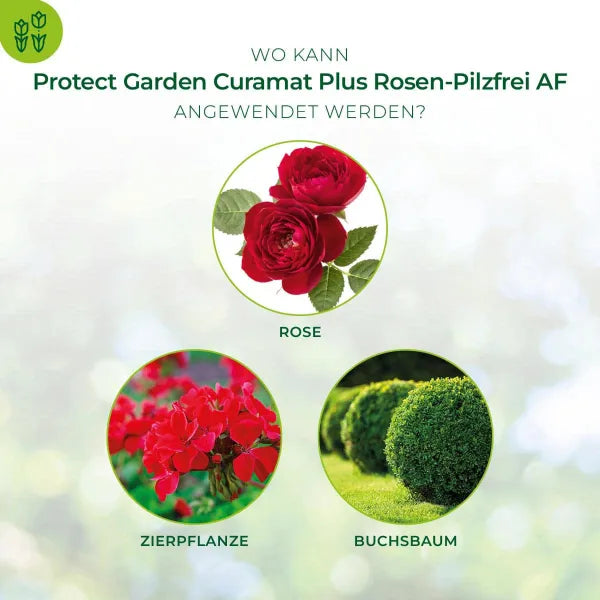 PROTECT GARDEN Curamat Plus Fongicide pour rosiers prêt à l'emploi - 1 litre