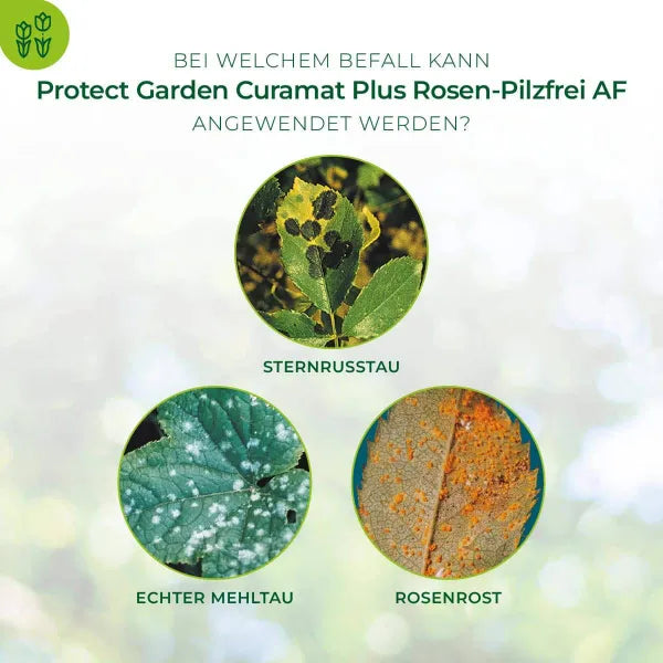 PROTECT GARDEN Curamat Plus Fongicide pour rosiers prêt à l'emploi - 1 litre