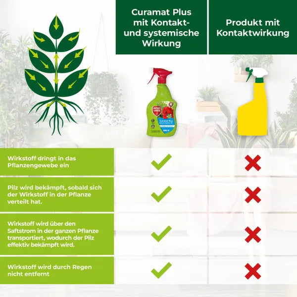 PROTECT GARDEN Curamat Plus Fongicide pour rosiers prêt à l'emploi - 1 litre