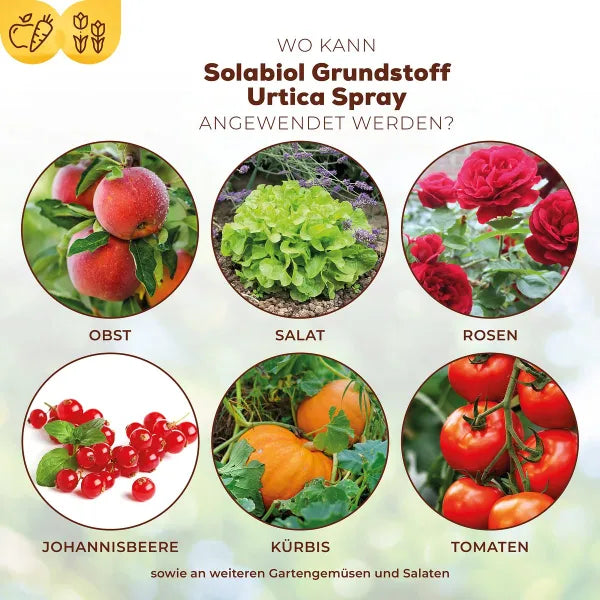 Solabiol Bio Ingrédient de base Urtica Spray prêt à l’emploi - 1 Litre