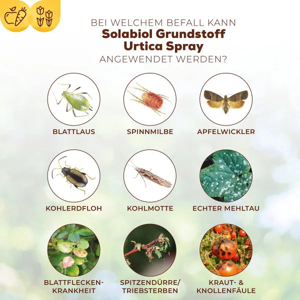 Solabiol Bio Ingrédient de base Urtica Spray prêt à l’emploi - 1 Litre