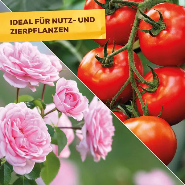Solabiol Bio Ingrédient de base Urtica Spray prêt à l’emploi - 1 Litre