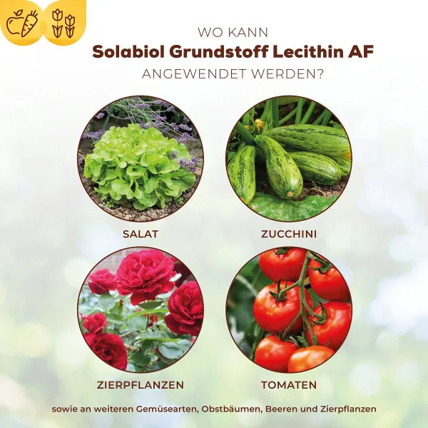 Solabiol Lécithine AF (1000 ml)