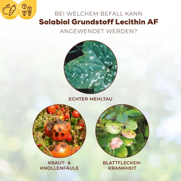 Solabiol Lécithine AF (1000 ml)