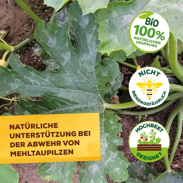 Solabiol Lécithine AF (1000 ml)